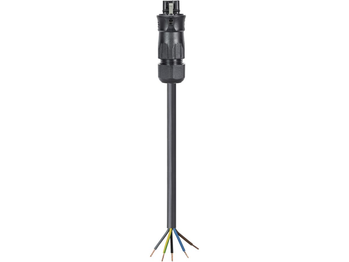 Anschlussleitung Wieland 6m 5L schwarz, freies Leitungsende-Stecker, 4mm²
