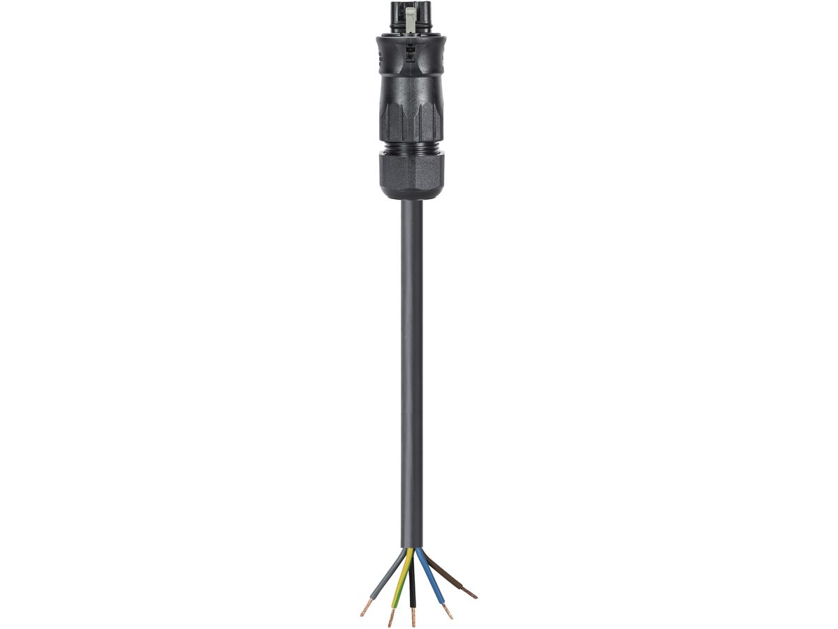 Anschlussleitung Wieland 5m 5L schwarz, freies Leitungsende-Stecker, 2.5mm²