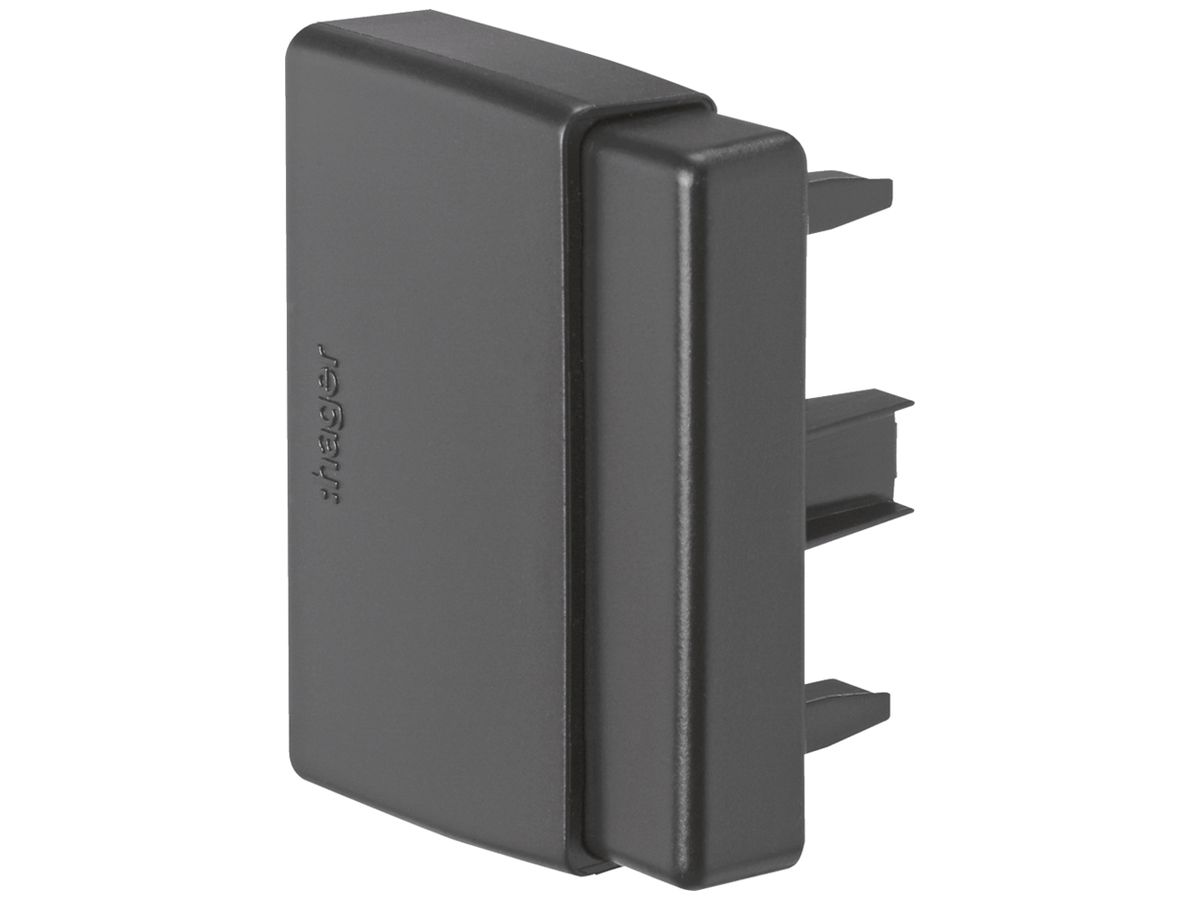 Endstück Hager tehalit.LF einstellbar (30/40)×60mm schwarz IP30