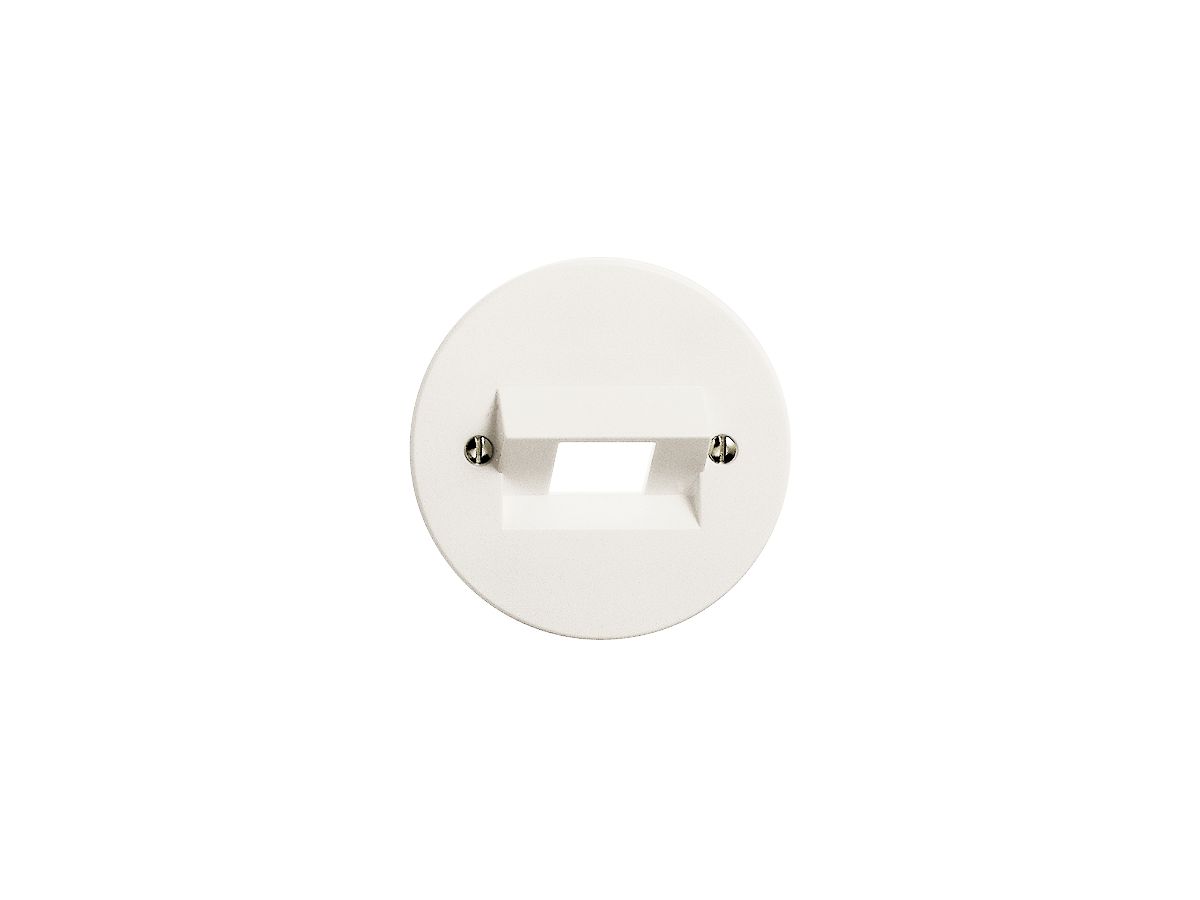 Frontscheibe FH 1×RJ45 weiss ITplus 58mm