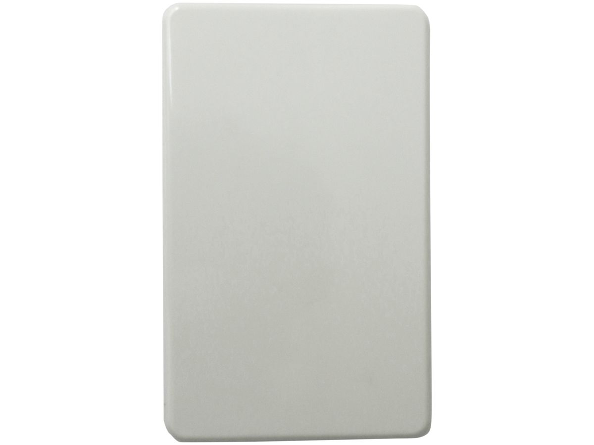 Abdeckplatte 2×II ohne Bohrung weiss