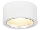 LED-Strahler SLV 21W 1900lm 3000K rund IP20 weiss