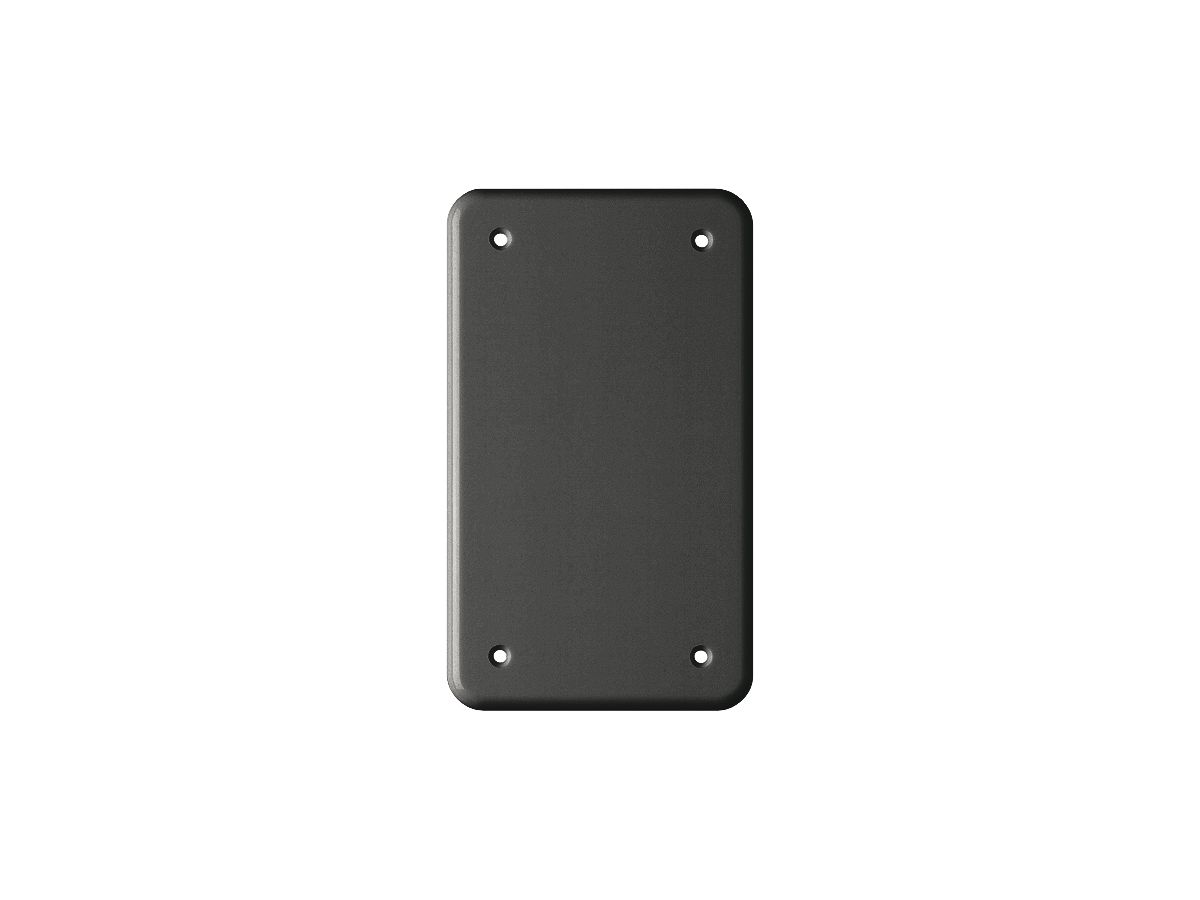 Abdeckplatte FH 2×1 schwarz mit 4 Befestigungslöcher