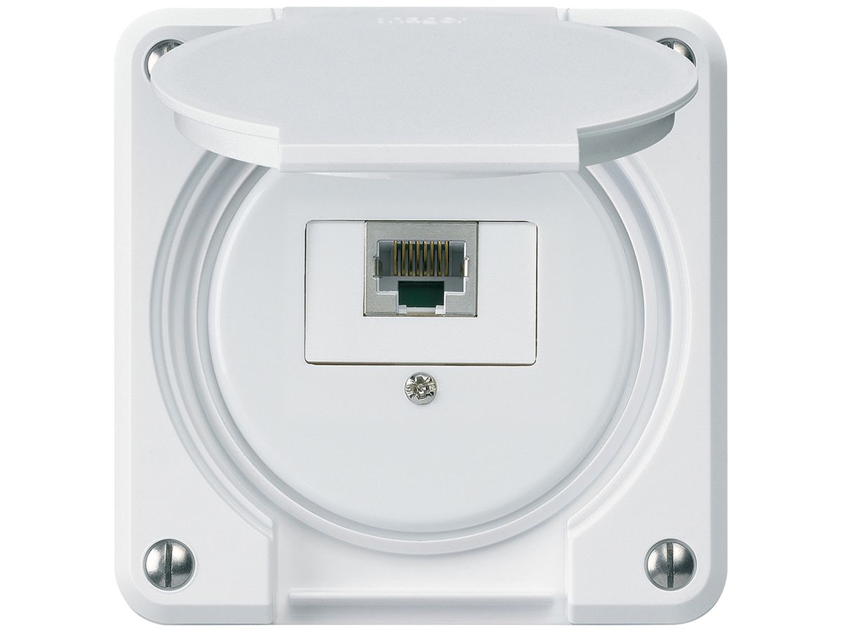 UP-Anschlussdose robusto IP55 weiss 1×RJ45/s