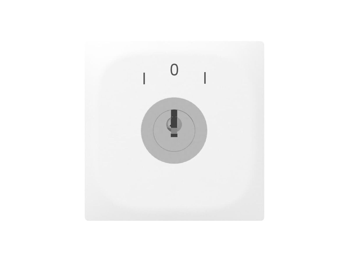UP-Schwenkkontakt SIDUS E 2×AK SS weiss