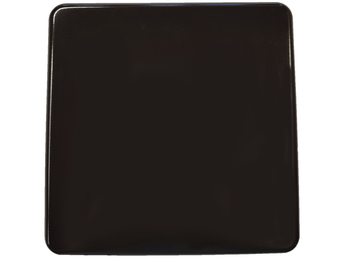 Abdeckplatte 2×2 ohne Bohrung schwarz