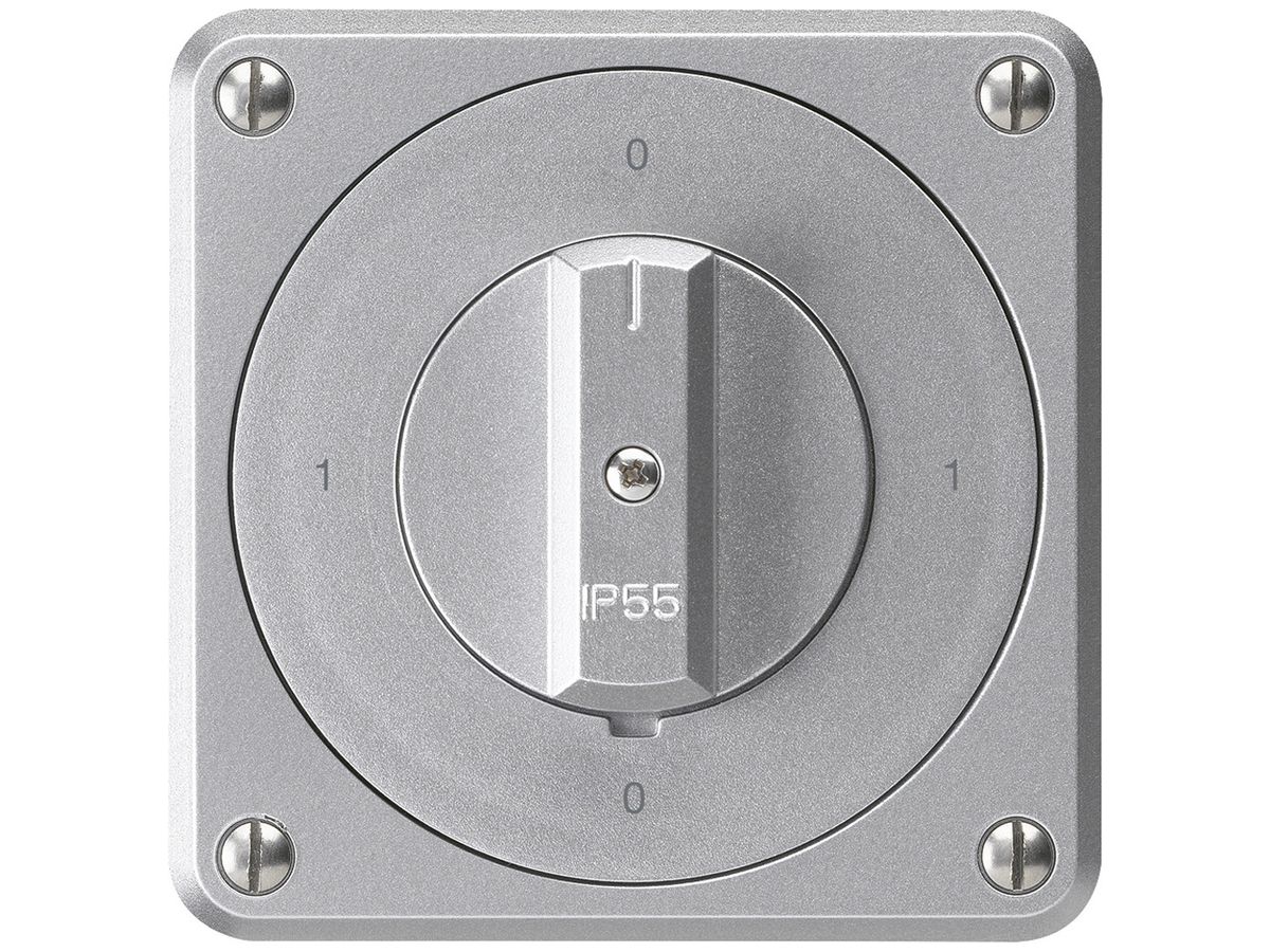 UP-Drehschalter robusto IP55 S0/2P aluminium für Kombination