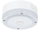 Anbaugehäuse Sylvania LifeSafe Pro SURF Kunststoff Ø175×78mm weiss