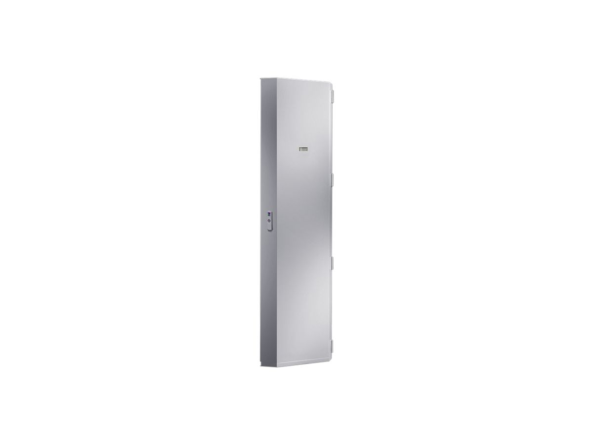 Tür Rittal SK 3201.810 600×2000mm für VX Basisregelung
