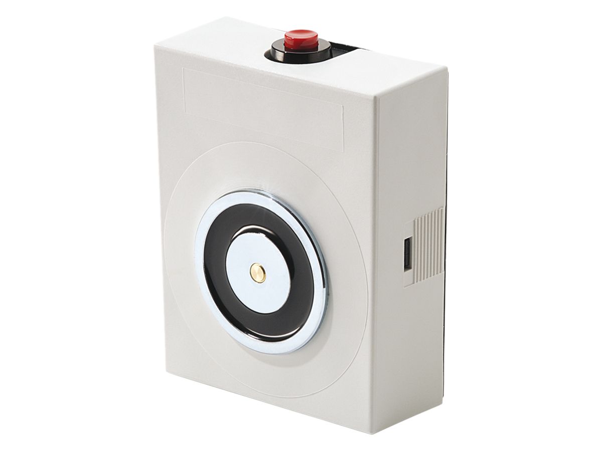 Haftmagnet BSW RH50-N490-WMG, 490N, Wandmontage