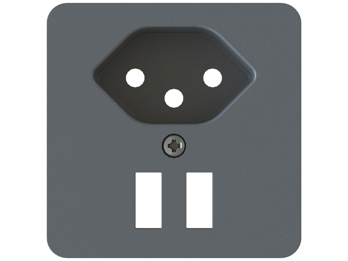 Frontplatte MAX HAURI priamos Steckdose Typ 13 & USB 60×60mm anthrazit