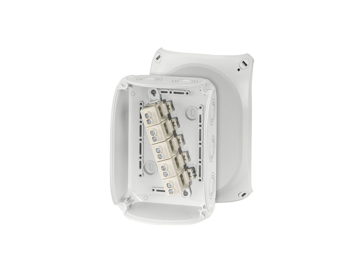 AP-Abzweigdose Hensel KF G mit Klemmen 5×10mm² grau