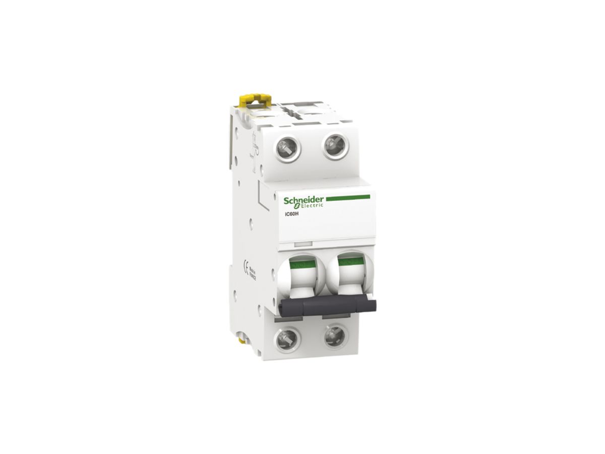 Leitungsschutzschalter Schneider Electric iC60N 2P 6A D 6kA
