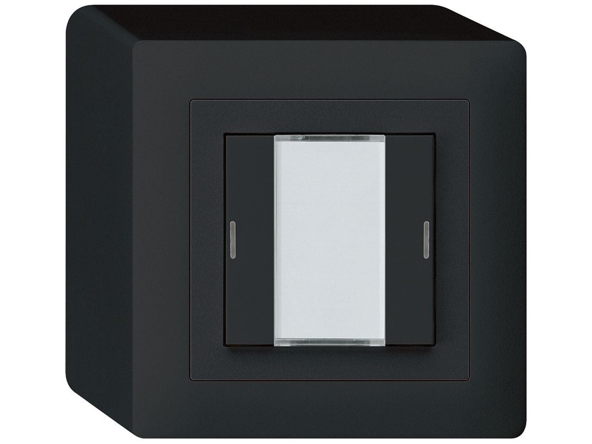 AP-Taster kallysto KNX 2×schwarz RGB LED s/e-link