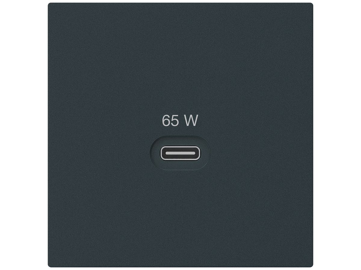 USB-Ladesteckdose Hager kallysto Typ C 65W 3250mA schwarz