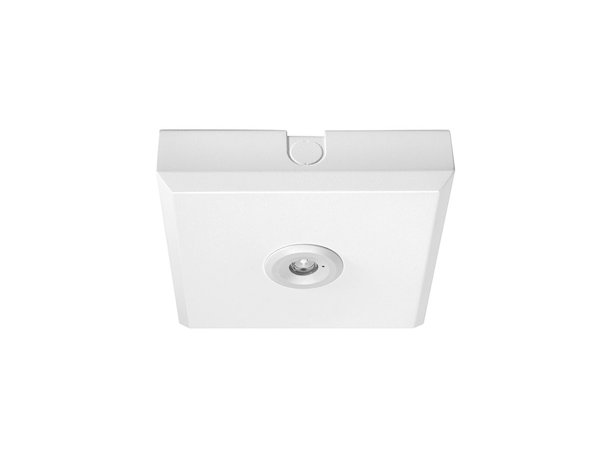 Notleuchte ESYLUX ELH O LED SC SM OFFICE weiss