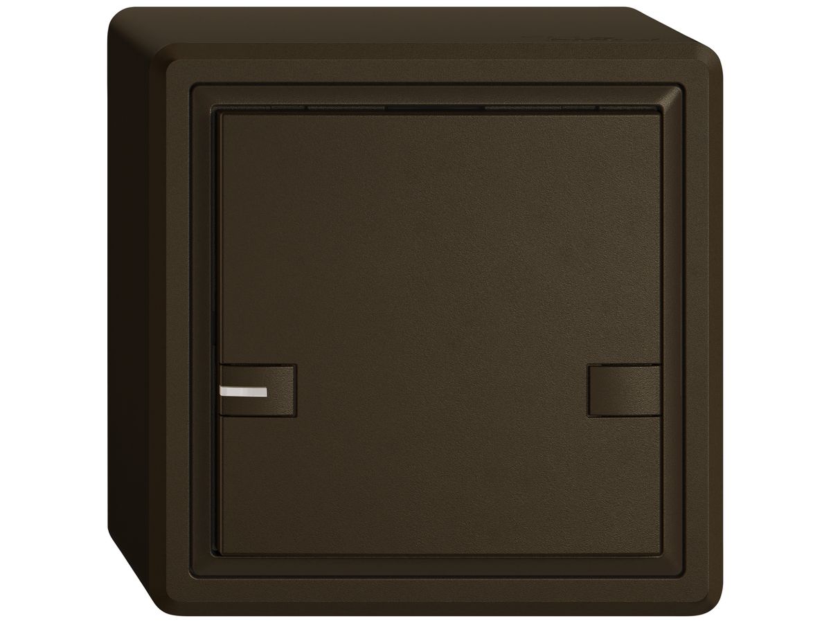 AP-KNX-Taster RGB EDIZIO.liv SNAPFIX® Temperaturfüh.RGB-LED 1×T 2-Tbed.br