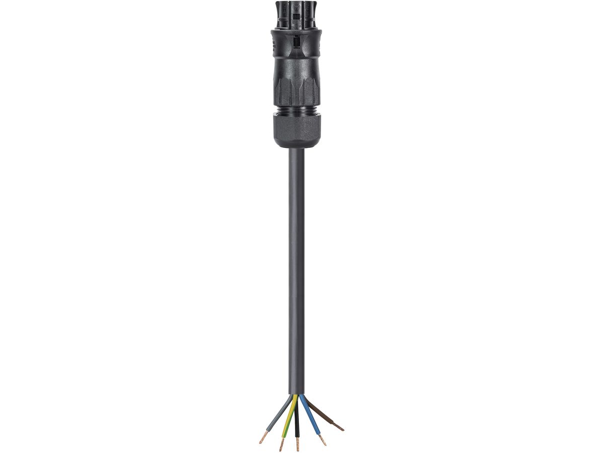 Anschlussleitung Wieland 2m 5L schwarz, Buchse-freies Leitungsende, 2.5mm²