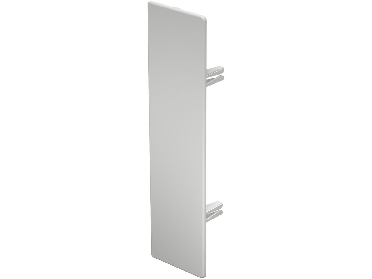 Abschlussplatte Bettermann zu Installationskanal WDK reinweiss 60×230mm