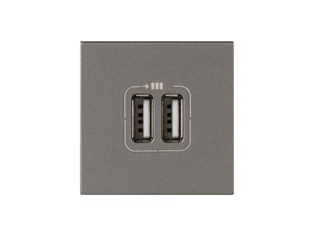 USB-Ladesteckdose MOS 2 Module, 1-fach magnesium