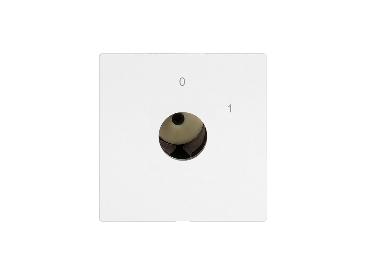 Schlüsselschalter EDIZIO.liv für KABA 1514 Ausschalter 4P 0-1 T=77mm ws