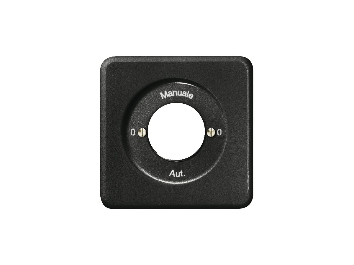 UP-Frontset 0-Manuale-0-Aut. für Schlüsselschalt.sz FH