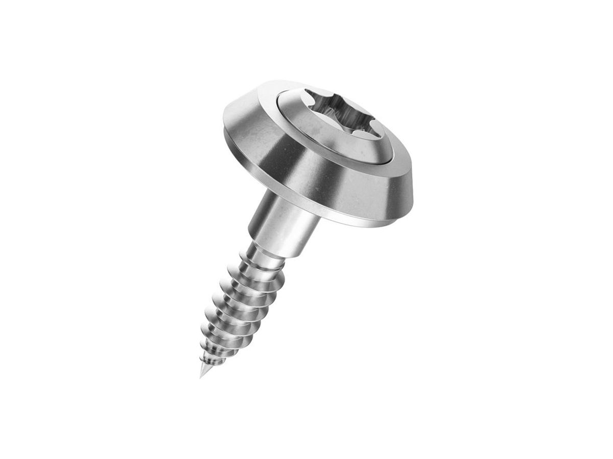 Linsenkopf-Fassadenschraube SFS Ferronorm T25 4.5×45mm