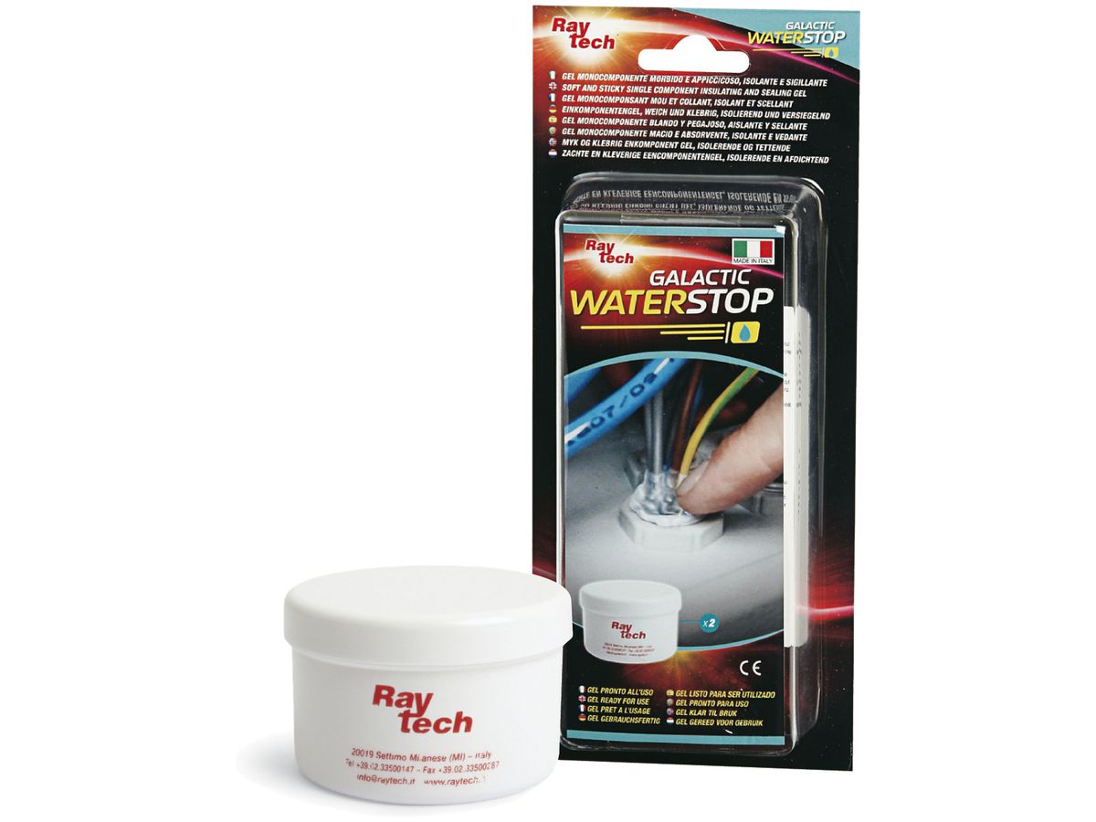 Abdichtungskitt Raytech 200gr