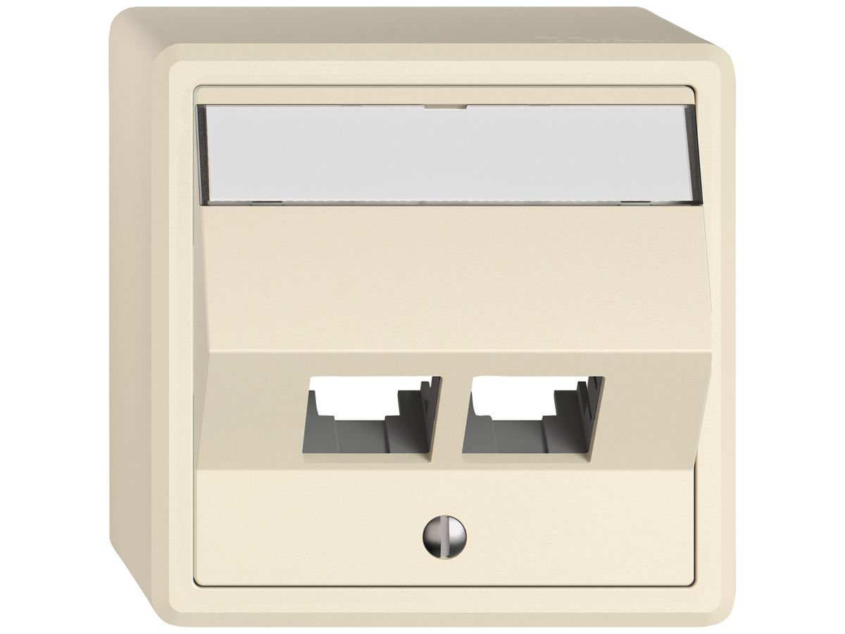 AP-Montageset EDIZIO.liv EASYNET S-One SNAPFIX® schräg 2×RJ45 cr