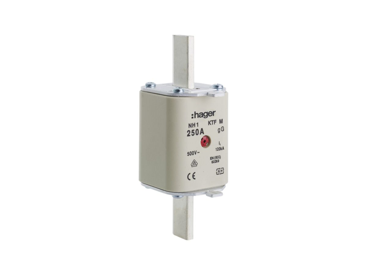 NH Sicherung Hager DIN 1C 50A Elektrogrosshandel