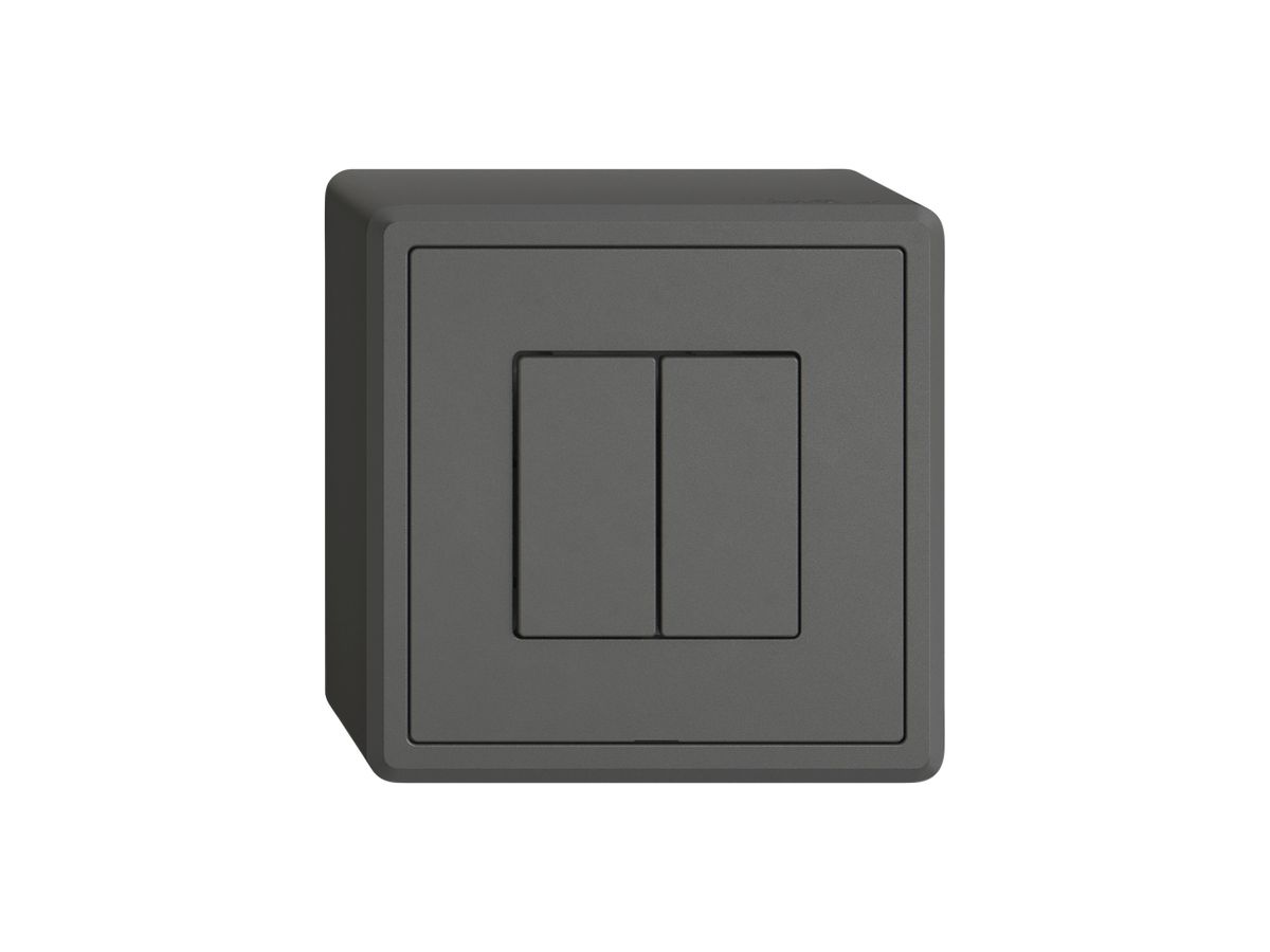 AP-Druckschalter EDIZIO.liv Wiser SNAPFIX® m.Nebenstelle 2T 2B dunkelgrau