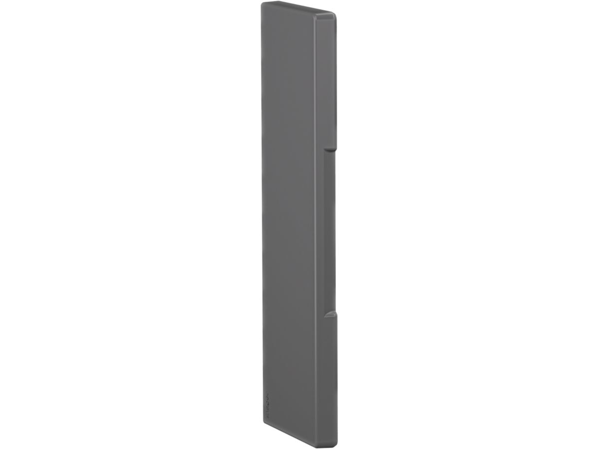 Endstück tehalit BRA 65210, graphitschwarz