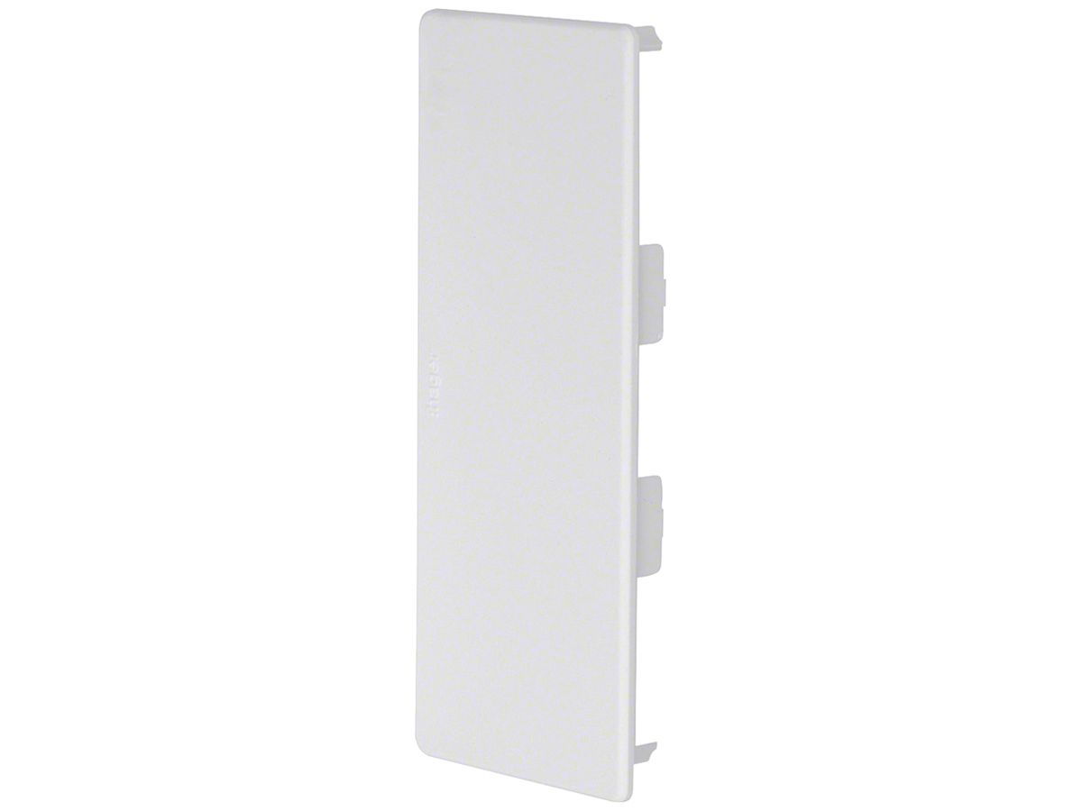 Endstück Hager tehalit.LF/LFH/FB 150×60mm grau IP30