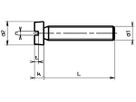 Zylinderkopf-Schraube M4×25mm verz.4.8 VSM 13300/DIN 84