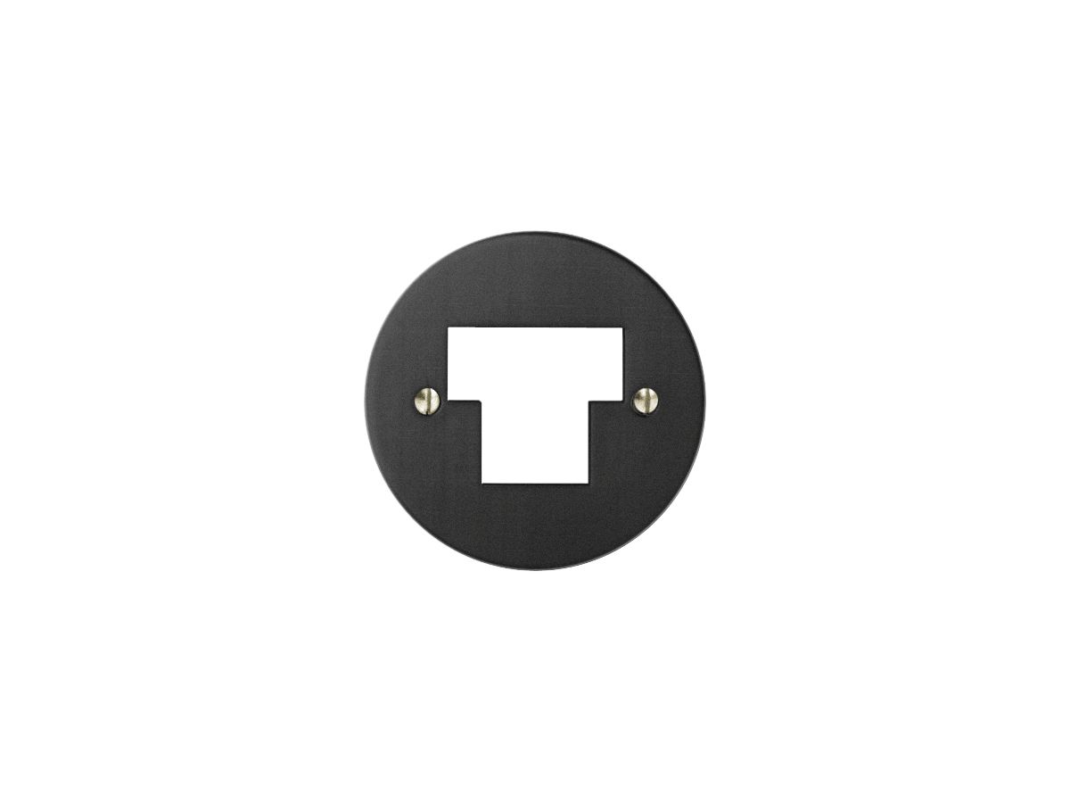 Frontscheibe FH T+T/2×RJ45 ITplus schwarz 58mm