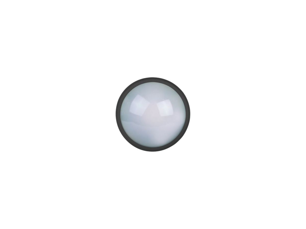 LED-Wandleuchte Z-Licht Glasled 13W 700lm 3000K IK10 Ø210×80mm IP65 schwarz