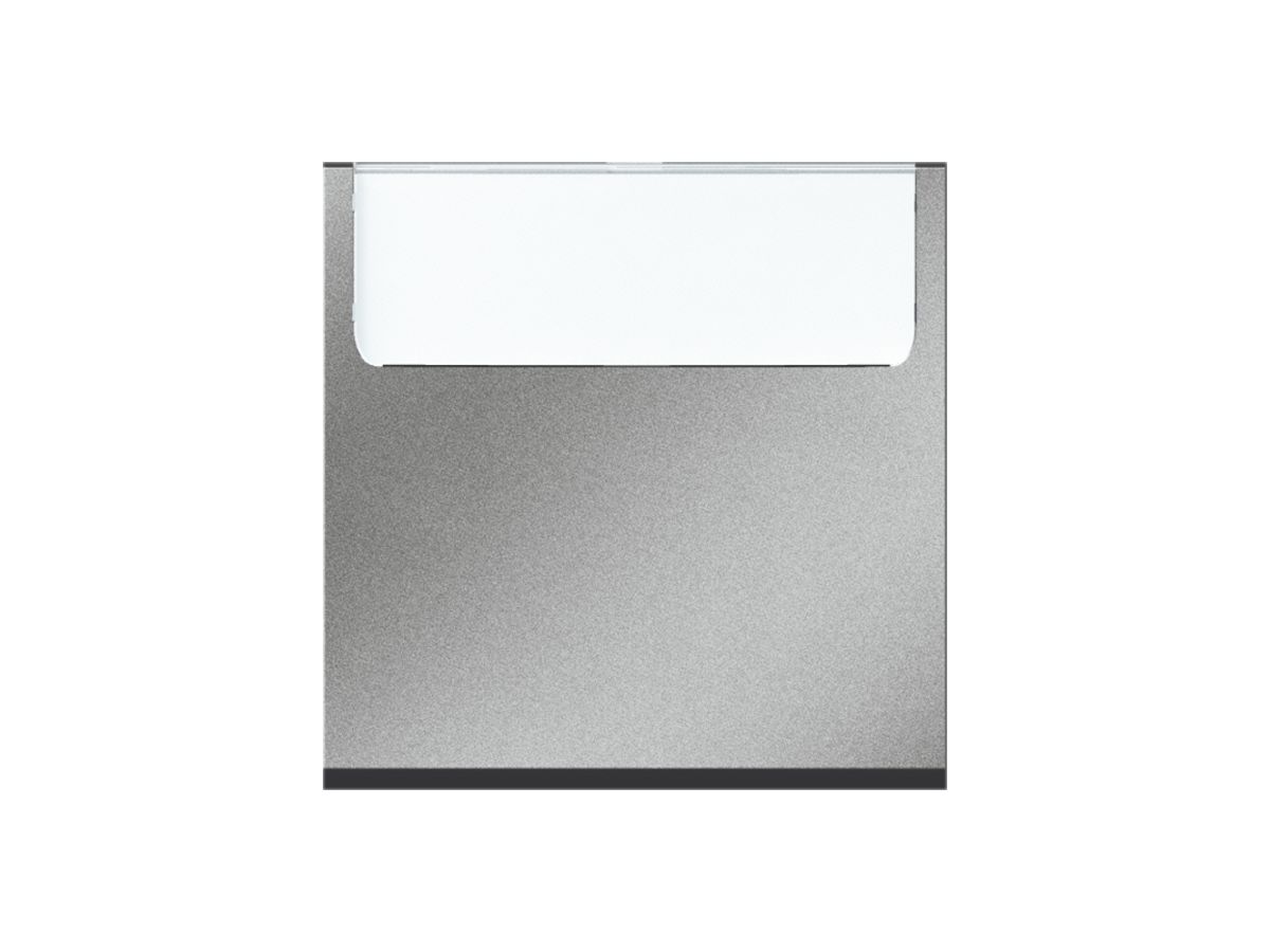 EB-Sonnerie-Wipptaster MOS 6A magnesium 2 Module