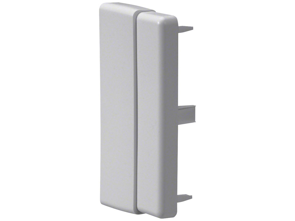 Endstück Hager tehalit.LF/LFH einstellbar (40/60)×110mm grau IP30