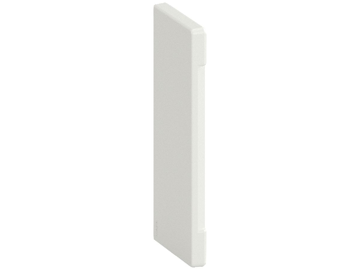 Endstück tehalit für BR/H/N/A Oberteil 120mm, verkehrsweiss
