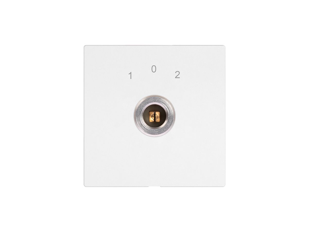 Schlüsselschalter EDIZIO.liv 1P Vierkant/Schlitz 20A 690V 1-0-2 Rückzug ws