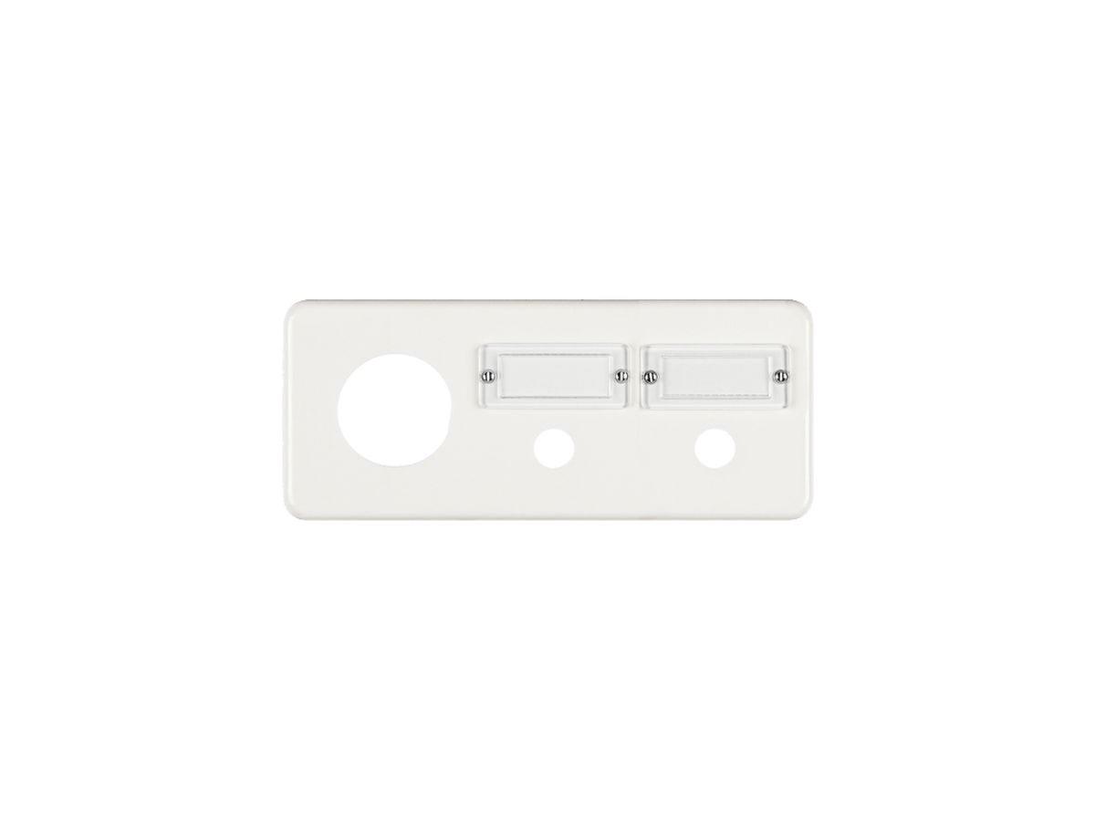 Abdeckplatte FH 3×1 43+2×15mm horiz. weiss
