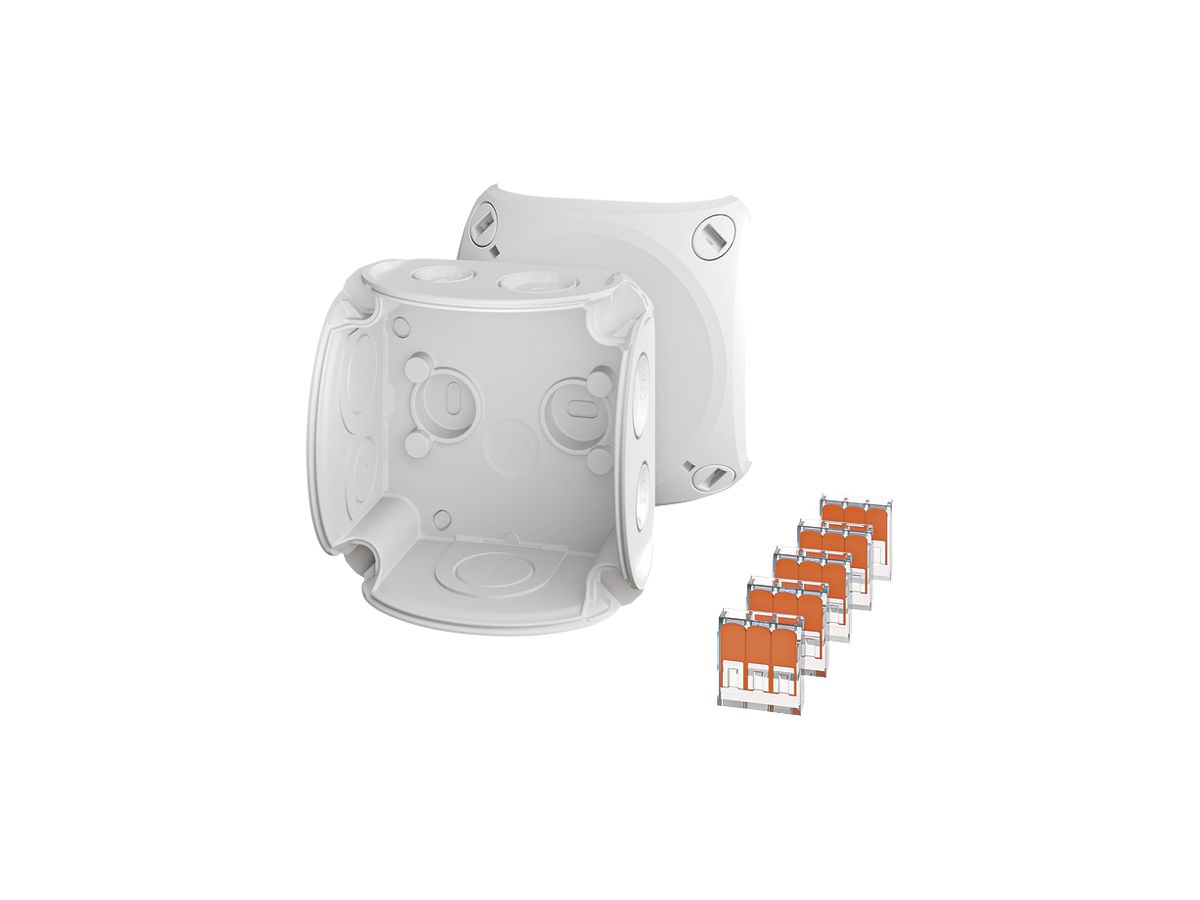 AP-Abzweigdose Hensel DK 0102 W WAGO 5×3L×2.5mm² 84×84×55mm IP66 gu
