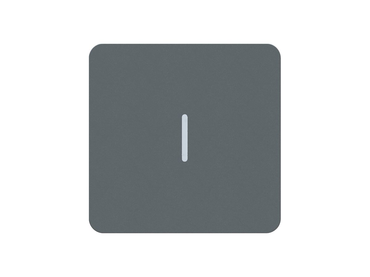 Frontplatte priamos Schalter/Taster mit Frontlinse 60×60mm anthrazit