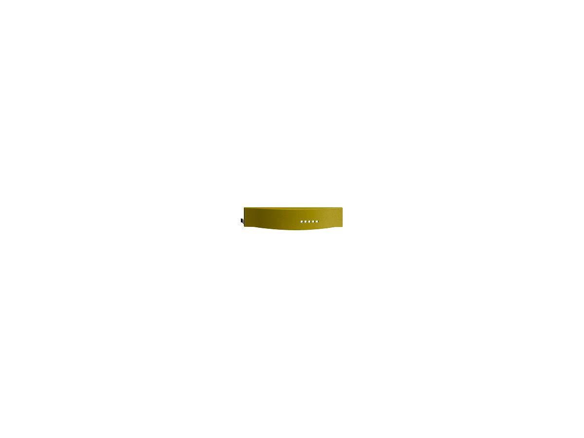 USB-Abdeckung EDIZIOdue olive