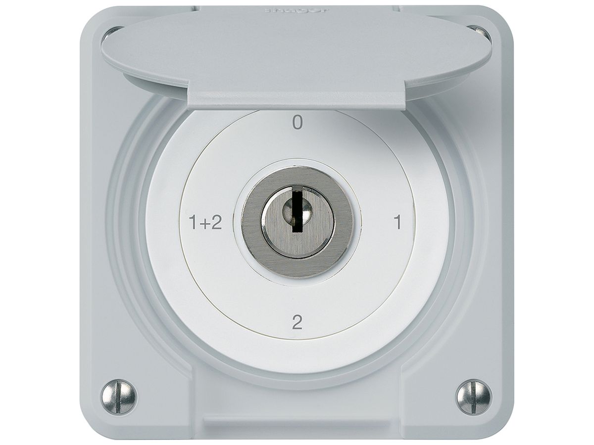 UP-Schlüsselschalter robusto IP55 mit Klappdeckel S1/1P grau