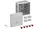 AP-Abzweigdose Spelsberg Abox Pro 040-4² 102×102×70mm IP69 gu