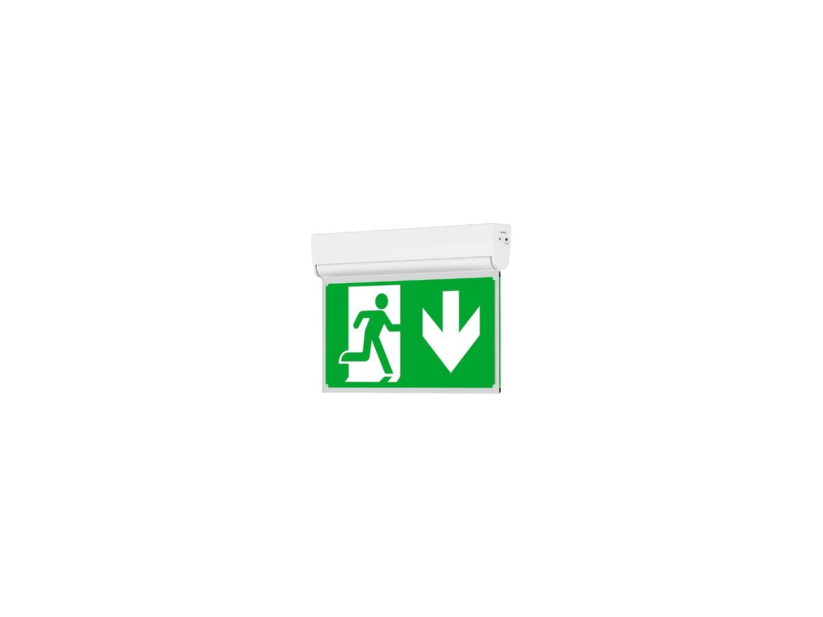 LED-Rettungszeichenleuchte DOTLUX EXITflip 3W bat 8h BS DS ST Wand/Decke