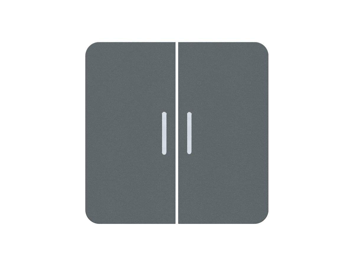Frontplatte priamos 2×Schalter/Taster mit 2 Frontlinsen 60×60mm anthrazit