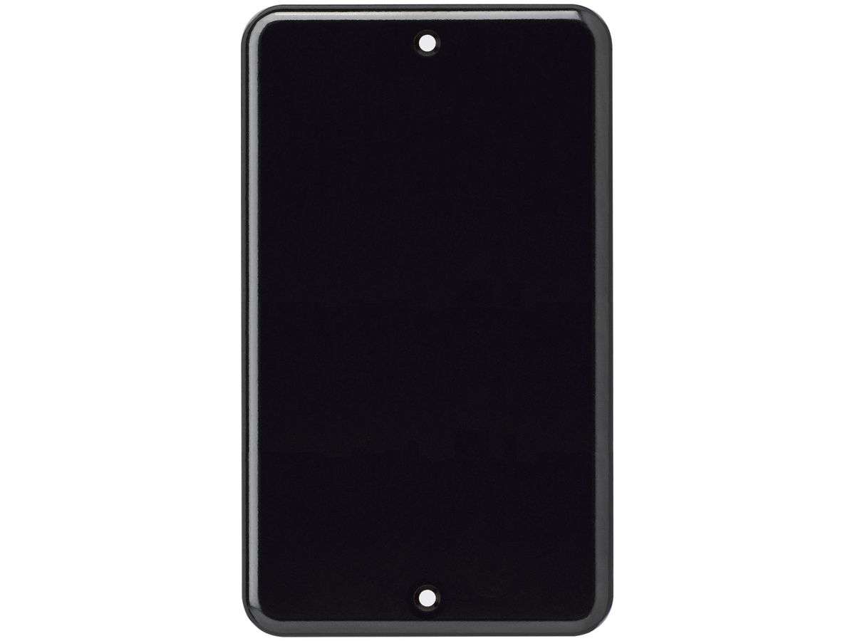 Abdeckplatte basico 2×1 2 Befestigungslöcher vertikal schwarz
