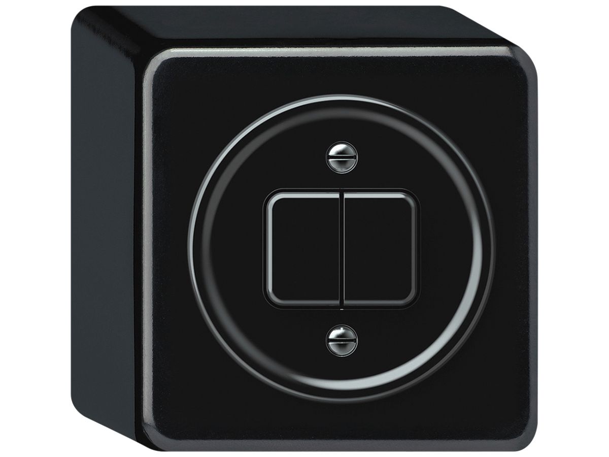 AP-Drucktaster origin 2×Tasten 2CO 1P 0<1 10A 230V 88×88×54mm schwarz